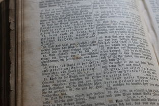 深入解析，各大院校体育录取分数线的奥秘