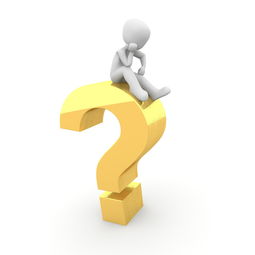 体育综合考试题型分布，全面解析与备考策略